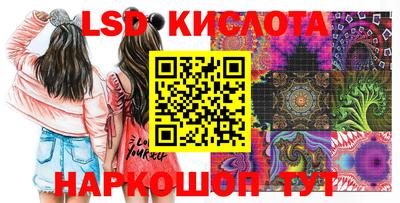 мяу мяу мука Партизанск